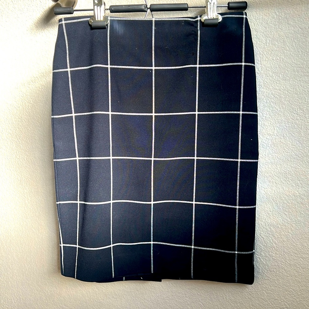 Blue and white pencil skirt